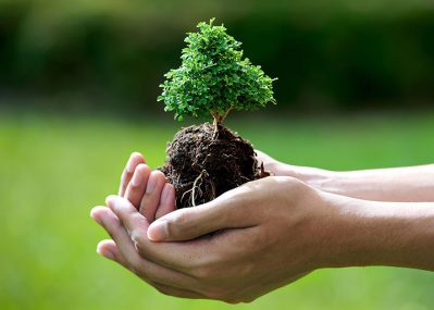 Environmental-Protection-and-respect-for-life-02